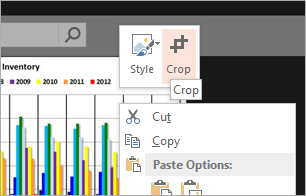 PowerPoint: Crop Screenshot